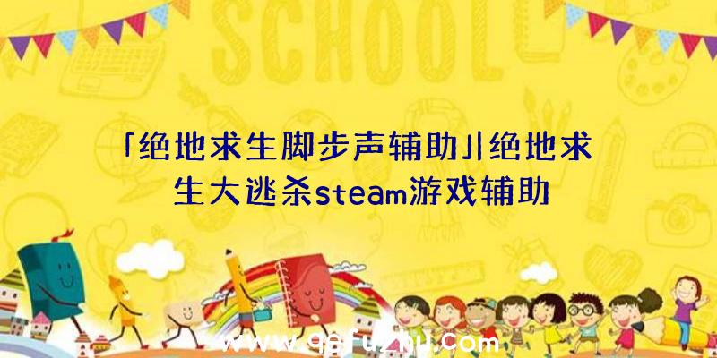 「绝地求生脚步声辅助」|绝地求生大逃杀steam游戏辅助